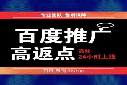 成功案例分享：SEM推广策略的制定与执行